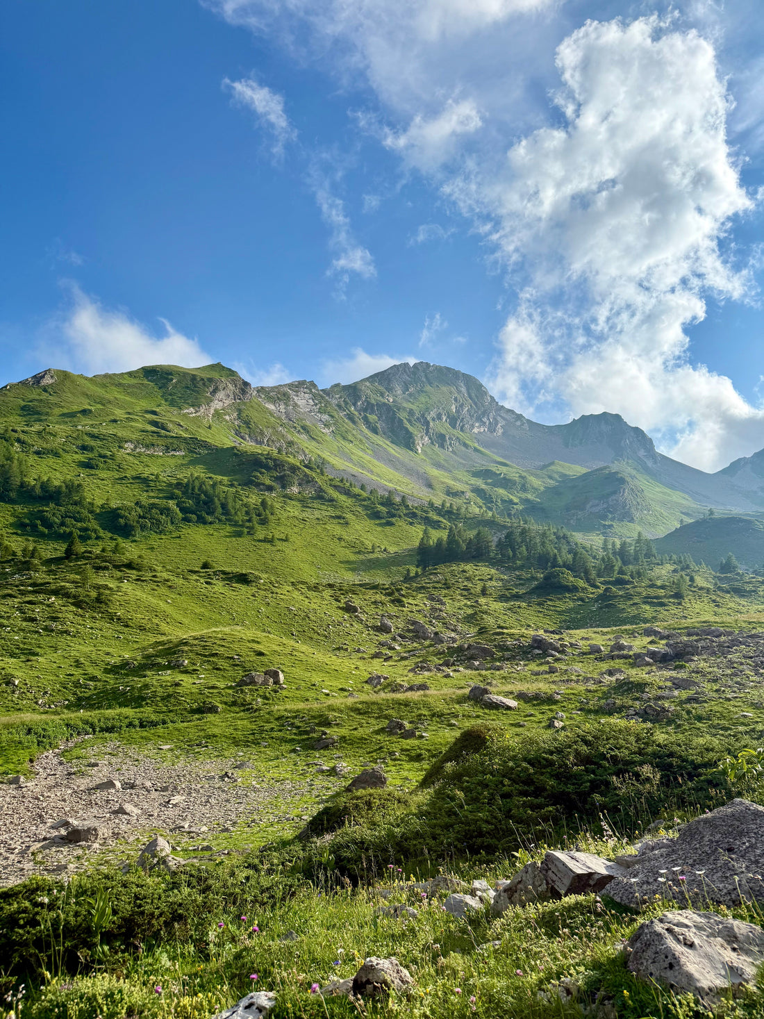 Oberst See Hike, Two-day Family Excursion: Top Highlights & 6 Essential Tips (early July Edition)