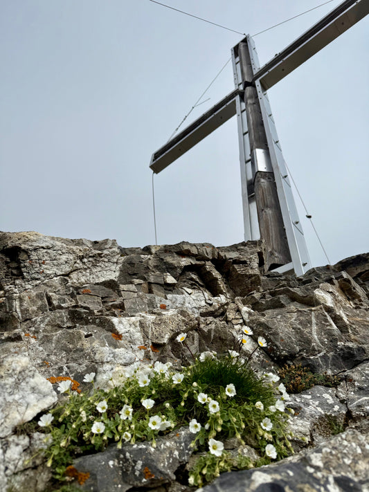 Falknisspitz hike from Oberst See: Top Highlights (early July Edition)