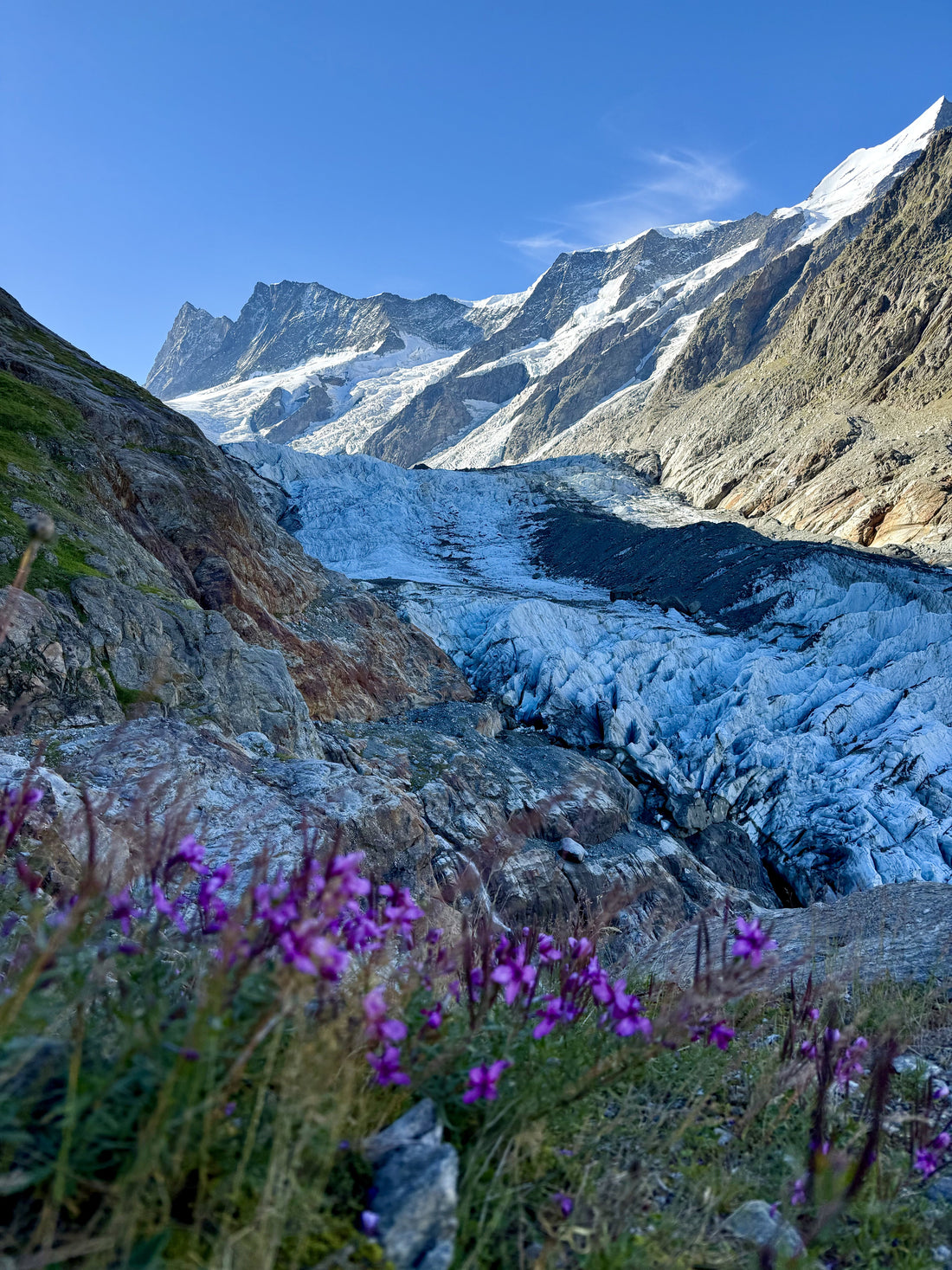 Schreckhornhutte Hike (Grinderwald): THE BEST HIKE IN SWITZERLAND: Top Highlights & 6 Essential Tips