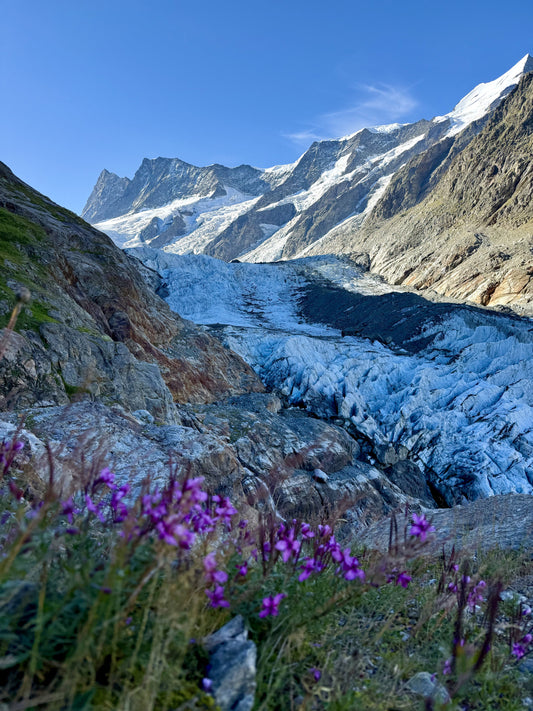 Schreckhornhutte Hike (Grinderwald): THE BEST HIKE IN SWITZERLAND: Top Highlights & 6 Essential Tips